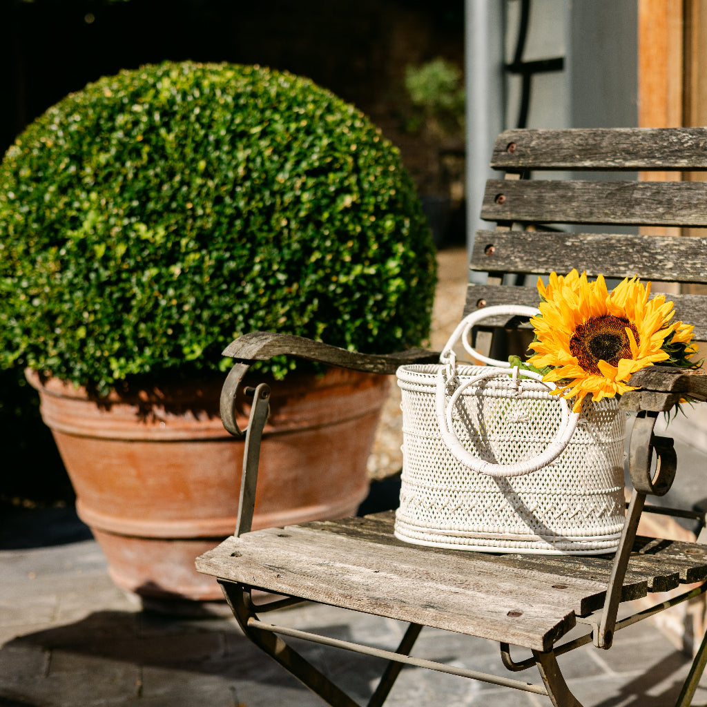 Rattan Handheld Picnic Basket