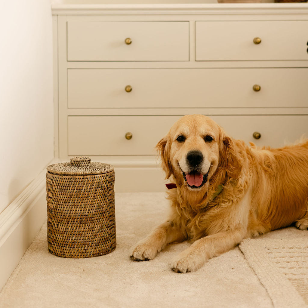 Round Rattan Waste Bin with Lid & Liner