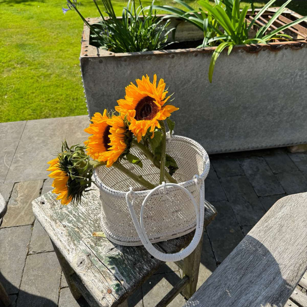 Rattan Handheld Picnic Basket