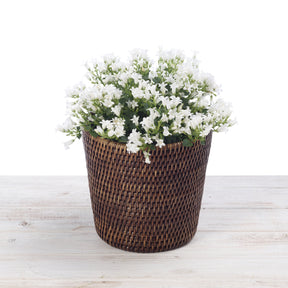 Rattan Flower Pot