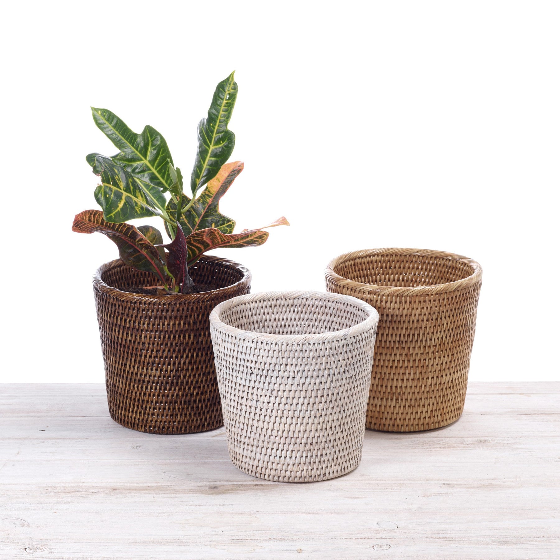 Rattan Flower Pot