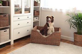 Rattan Large Pet Bed